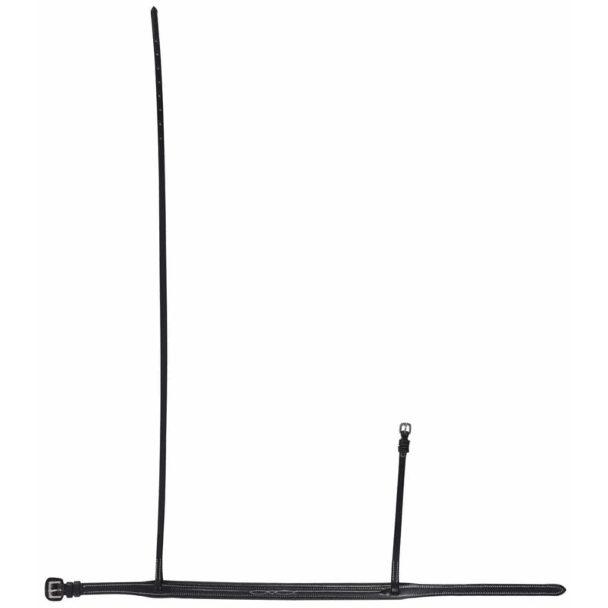 HDR Traditional Noseband