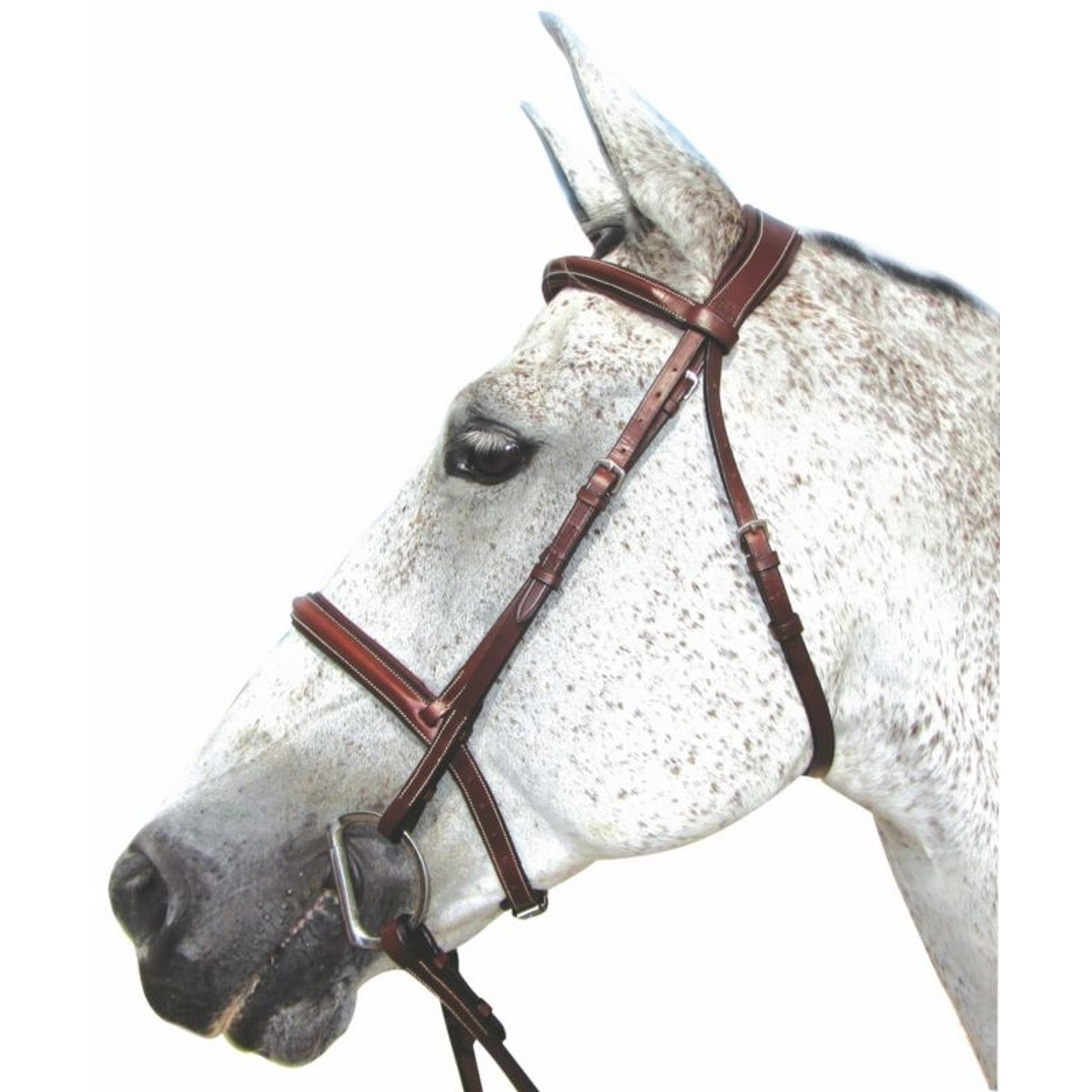 HDR Pro Stress Free Padded Bridle