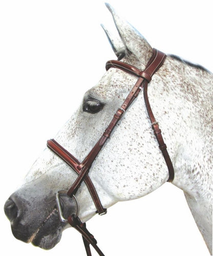HDR Pro Stress Free Padded Bridle
