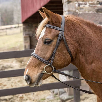 HDR Pro Stress Free Padded Bridle