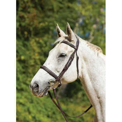 Shires Avignon Nashville Bridle