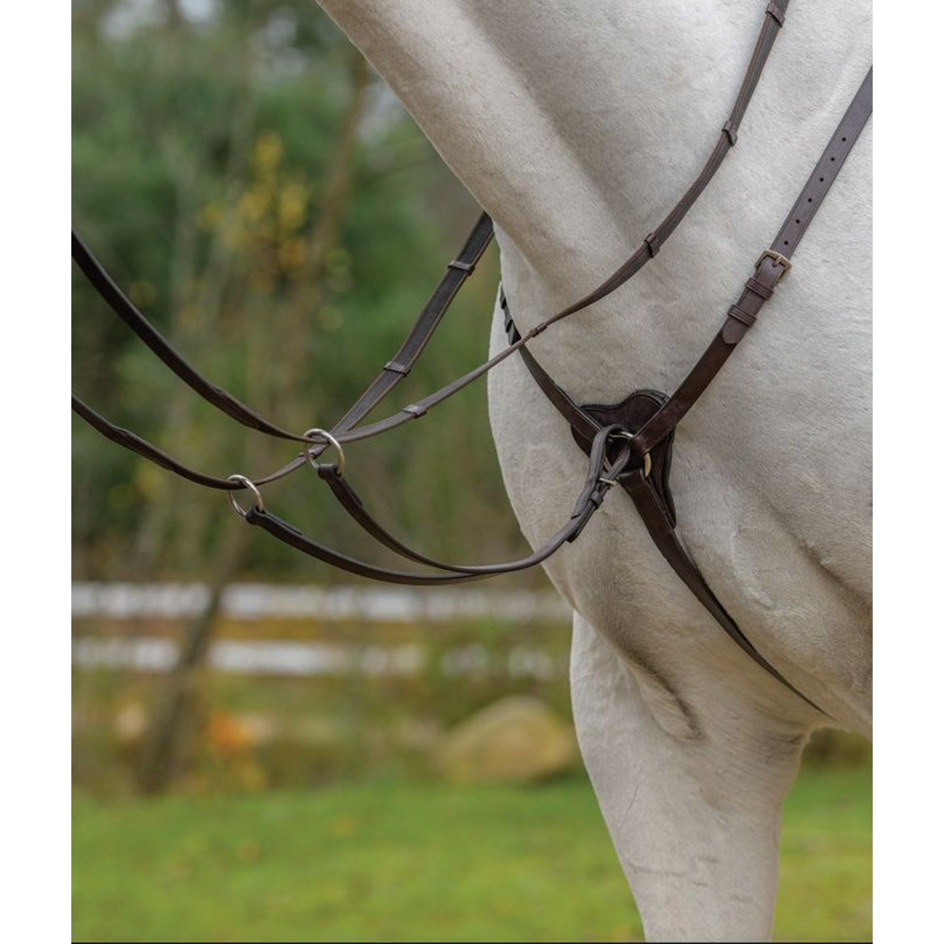Shires Avignon 3 Point Breastplate
