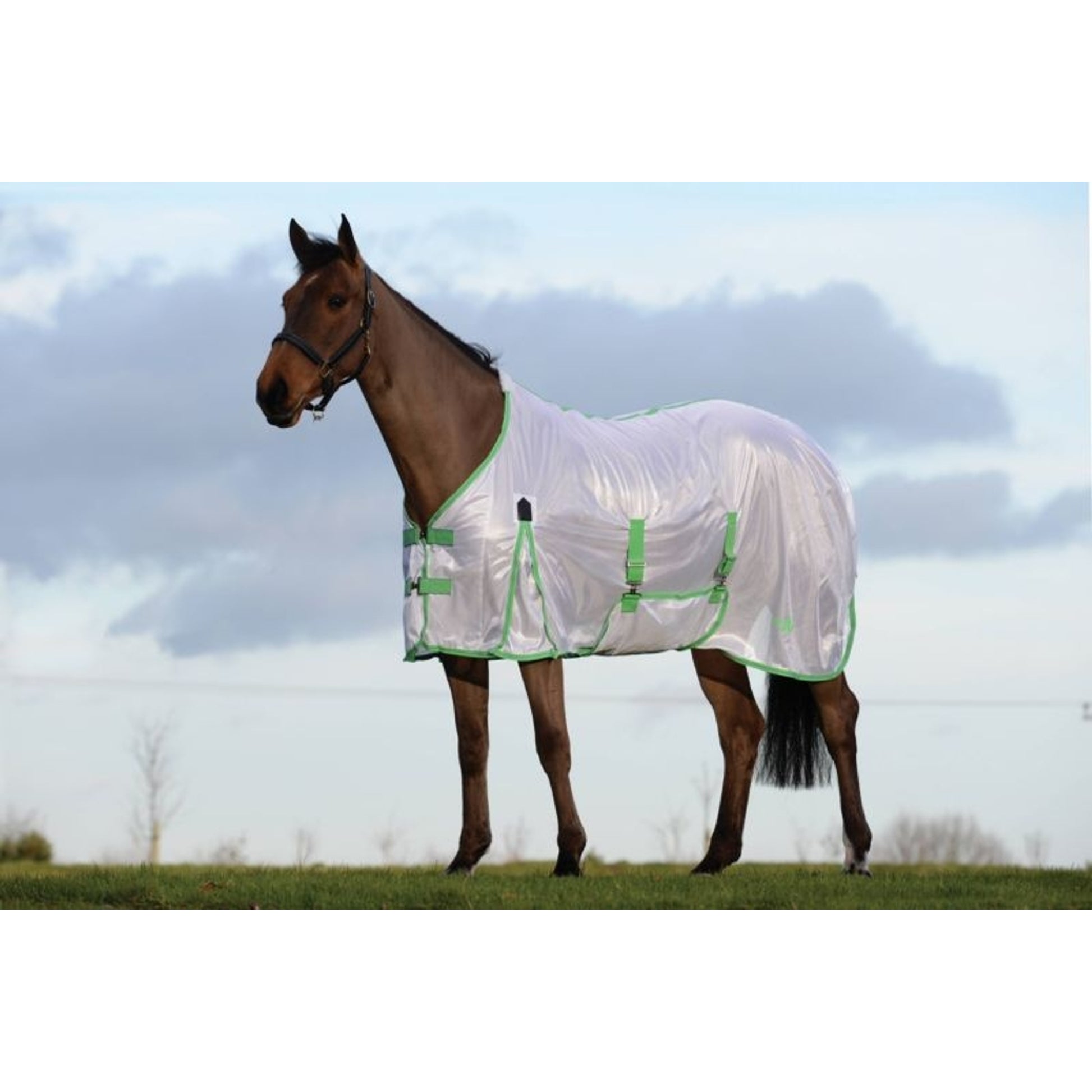 Saxon Mesh Gusset Belly Wrap Fly Sheet