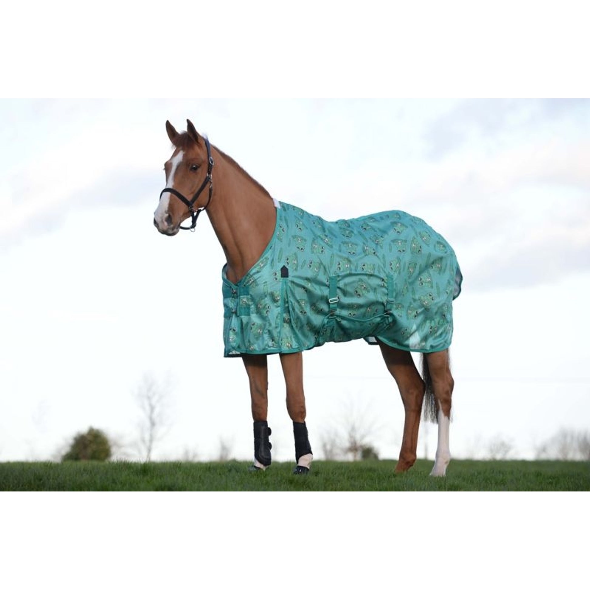 Saxon Mesh Gusset Belly Wrap Fly Sheet