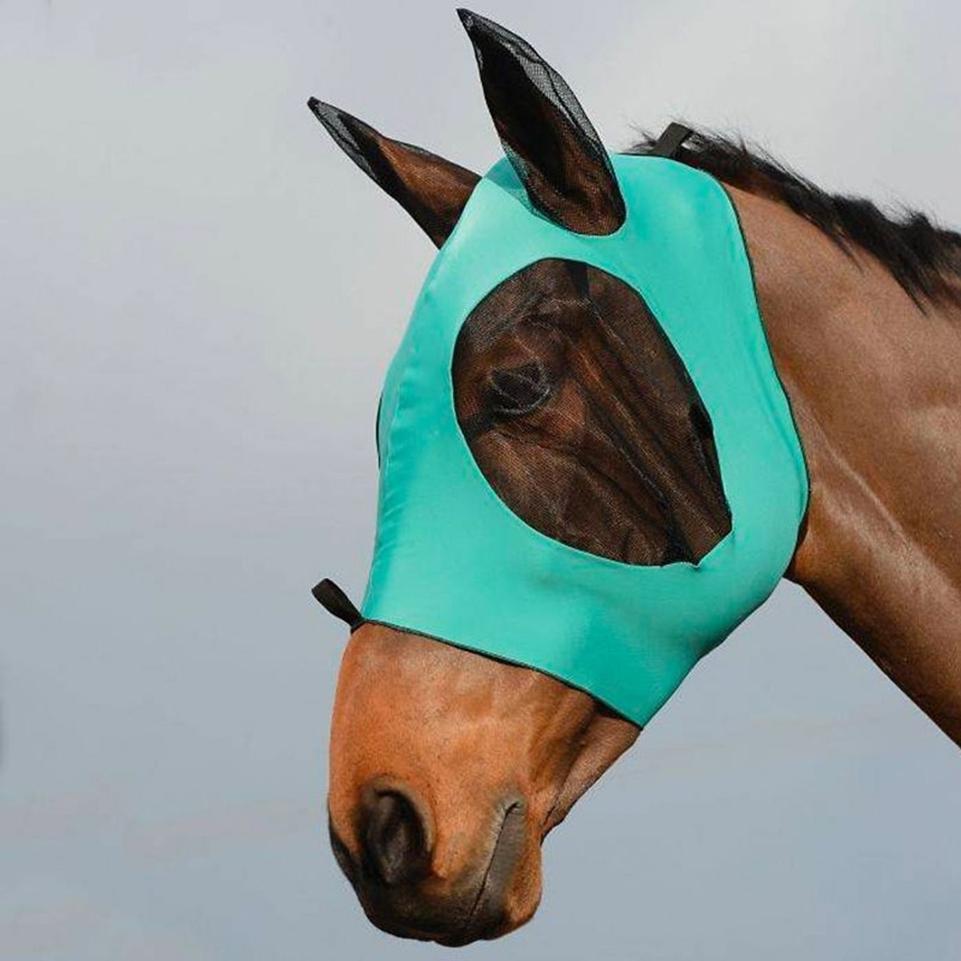 WeatherBeeta Stretch Bug Eye Saver With Ears