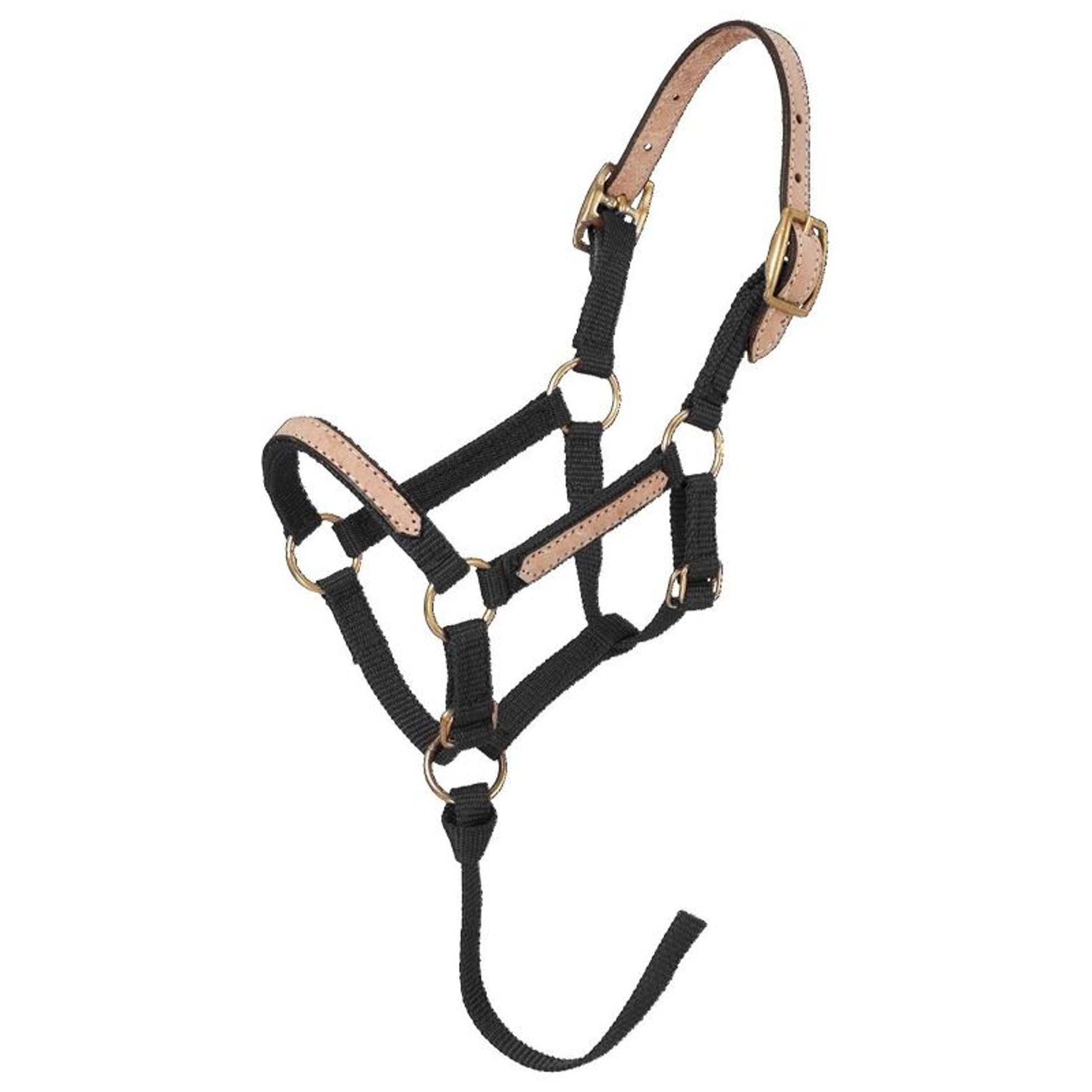 Tough1 Miniature Breakaway Halter