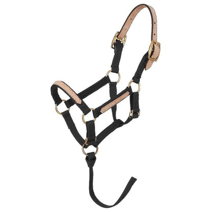Tough1 Miniature Breakaway Halter