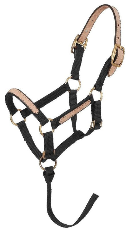 Tough1 Miniature Breakaway Halter