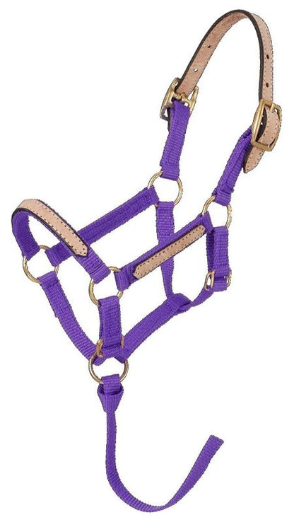 Tough1 Miniature Breakaway Halter