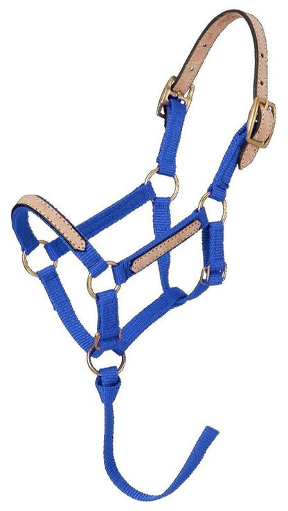 Tough1 Miniature Breakaway Halter