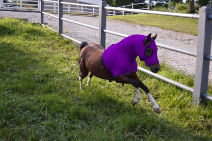 Ozark Mini/Pony Lycra Hood with Zipper