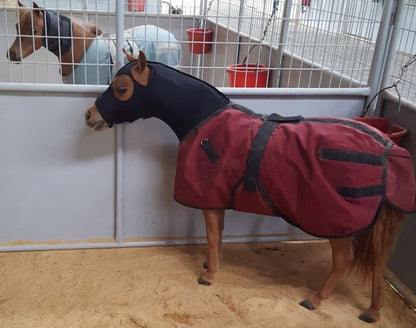 Ozark Mini/Pony Lycra Hood with Zipper