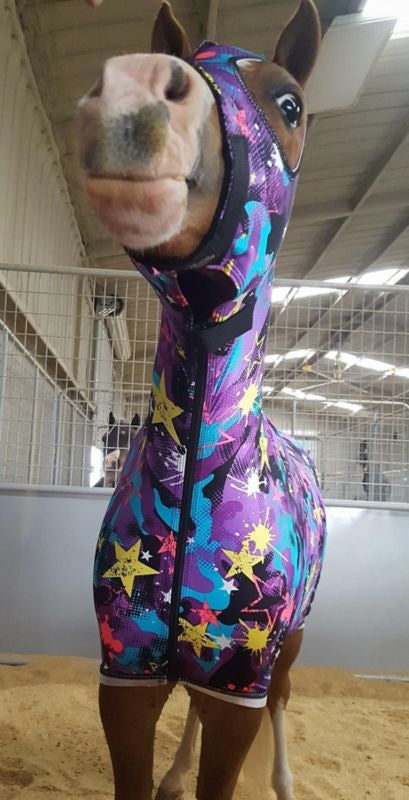 Ozark Mini/Pony Lycra Hood with Zipper