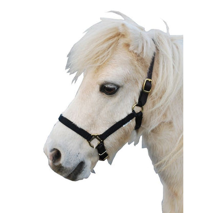 Triple E Nylon Mini Halter with Leather Crown