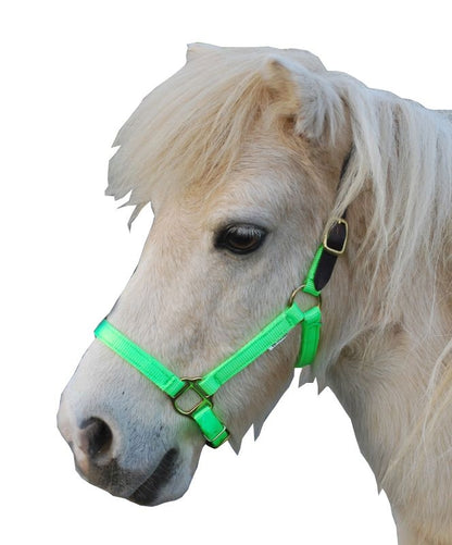 Triple E Nylon Mini Halter with Leather Crown