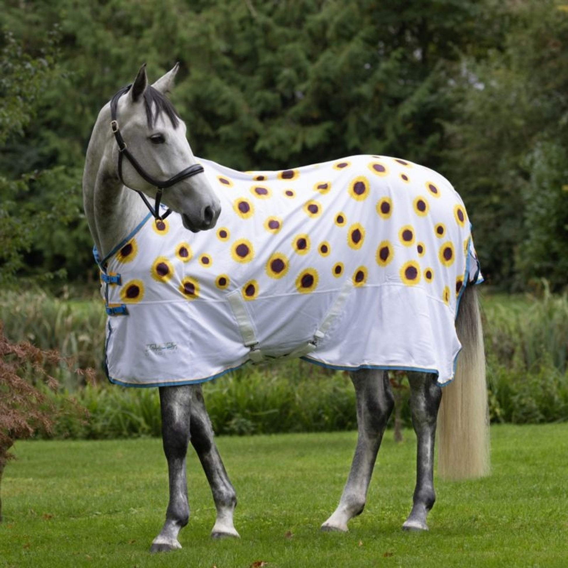 Shires Tempest Fly Sheet