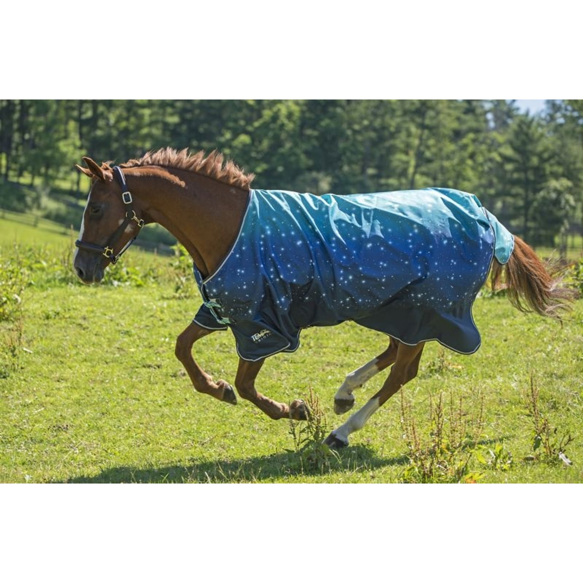 Shires Tempest Original Lite Fox Print Sheet