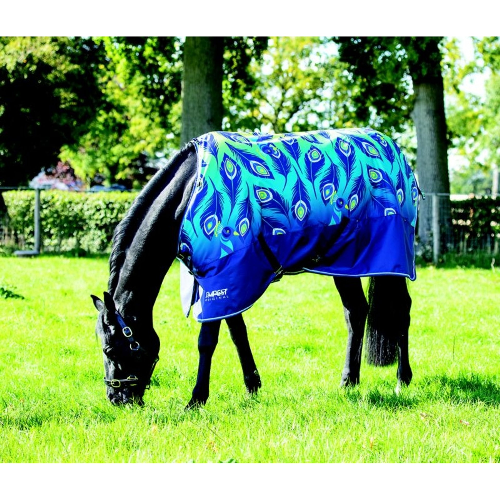 Shires Tempest Original Lite Fox Print Sheet