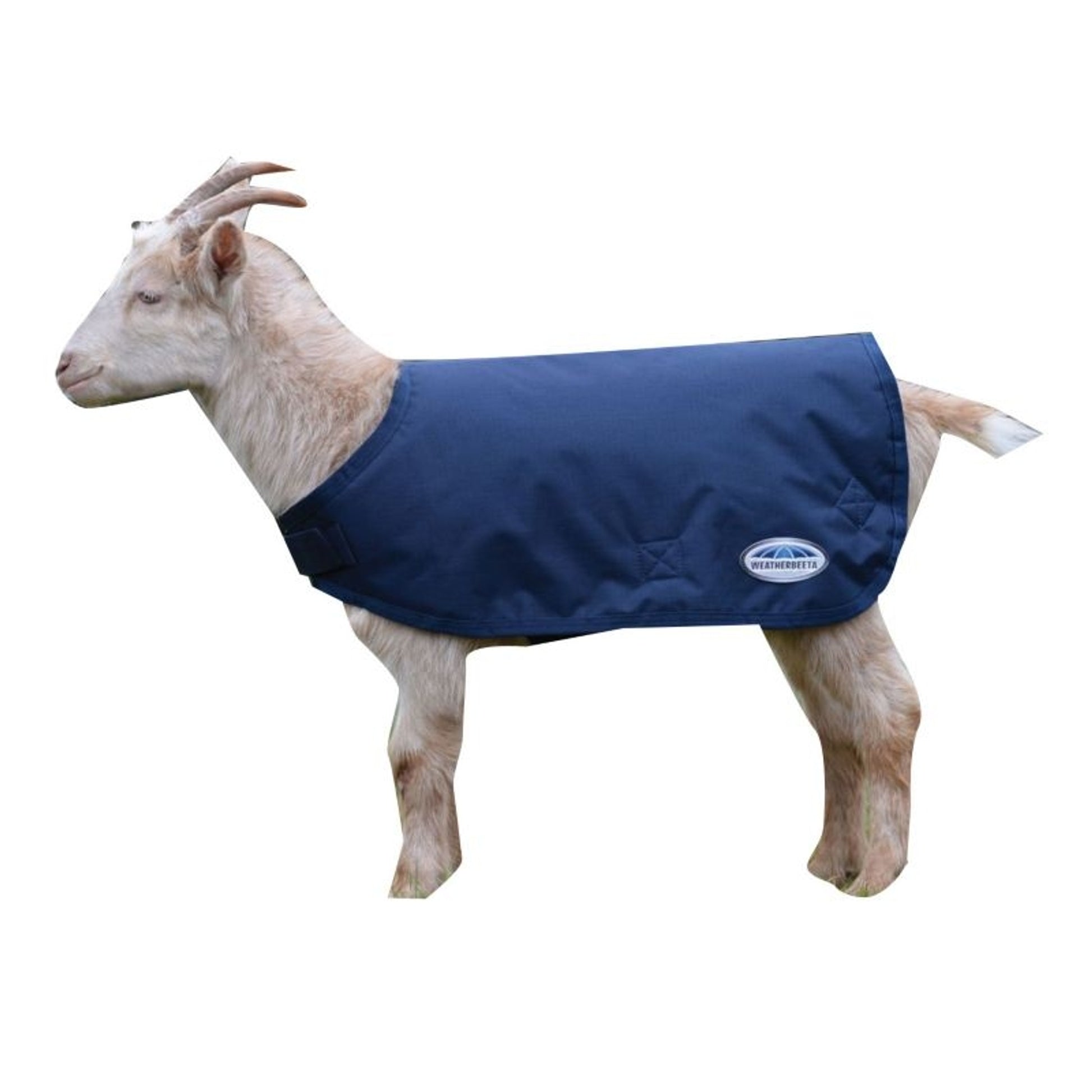 Weatherbeeta Goat Coat