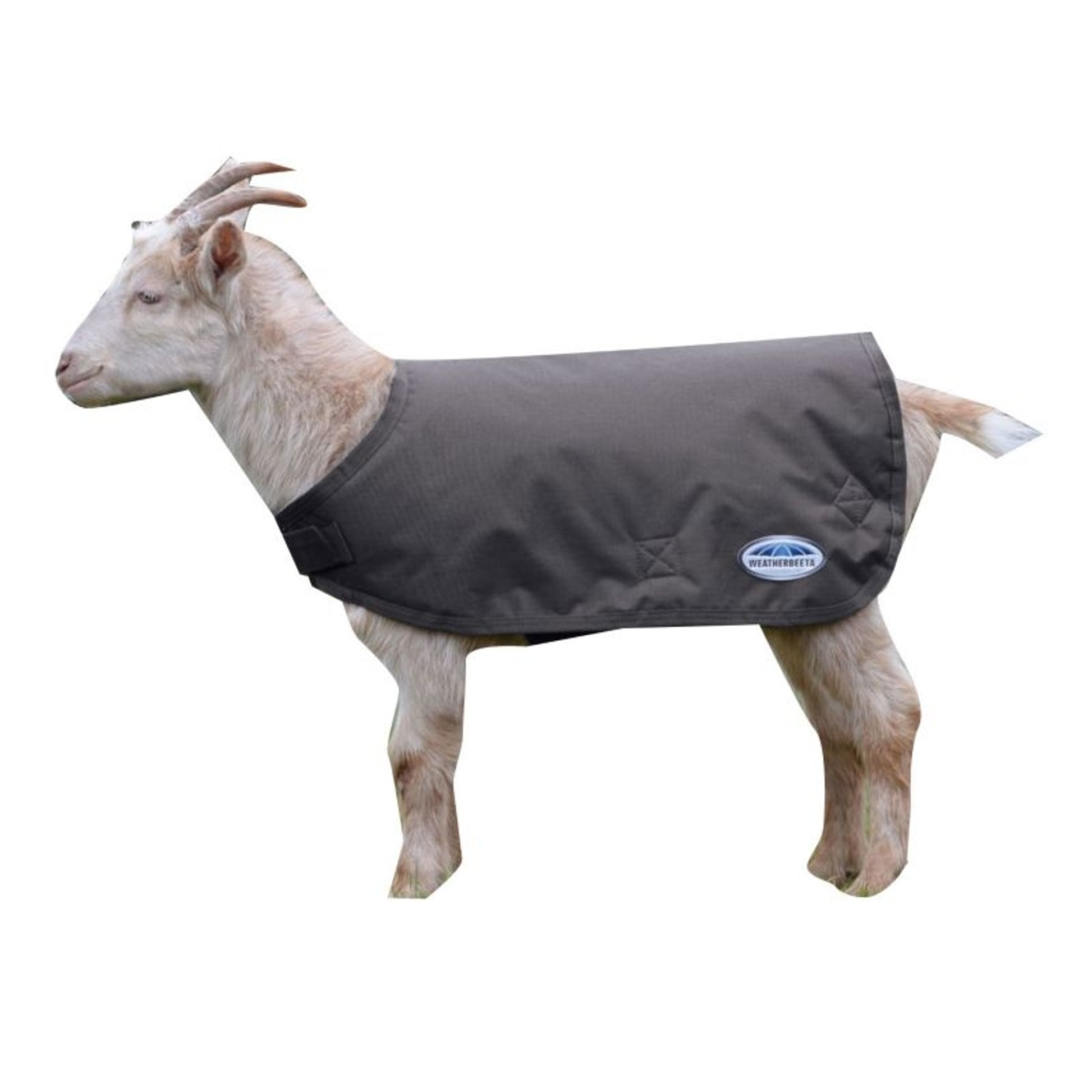 Weatherbeeta Goat Coat