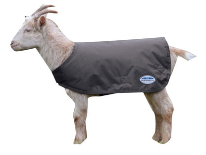Weatherbeeta Goat Coat