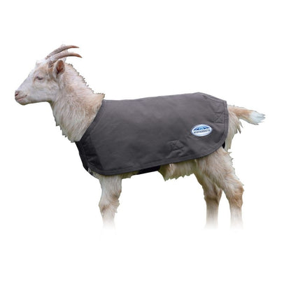 Weatherbeeta Deluxe Goat Coat