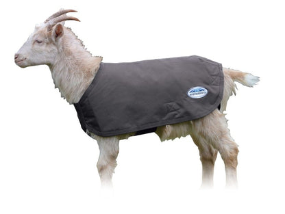 Weatherbeeta Deluxe Goat Coat