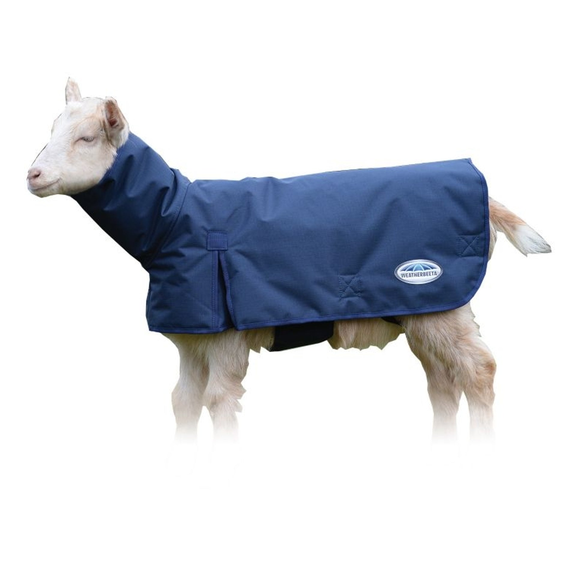 Weatherbeeta Deluxe Goat Coat with Neck
