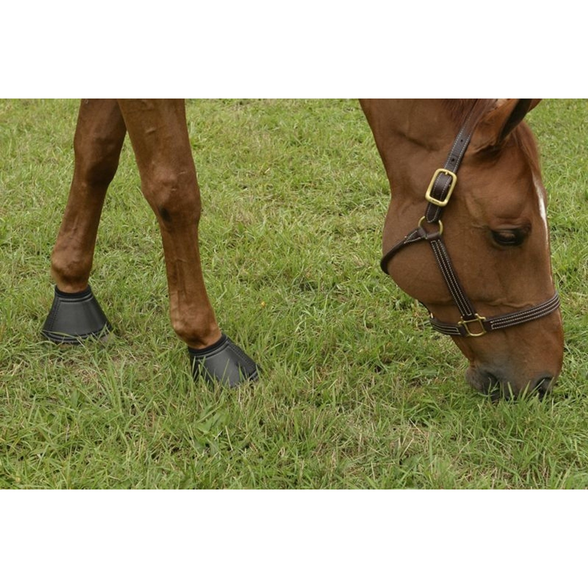 EquiFit Essential Bell Boots