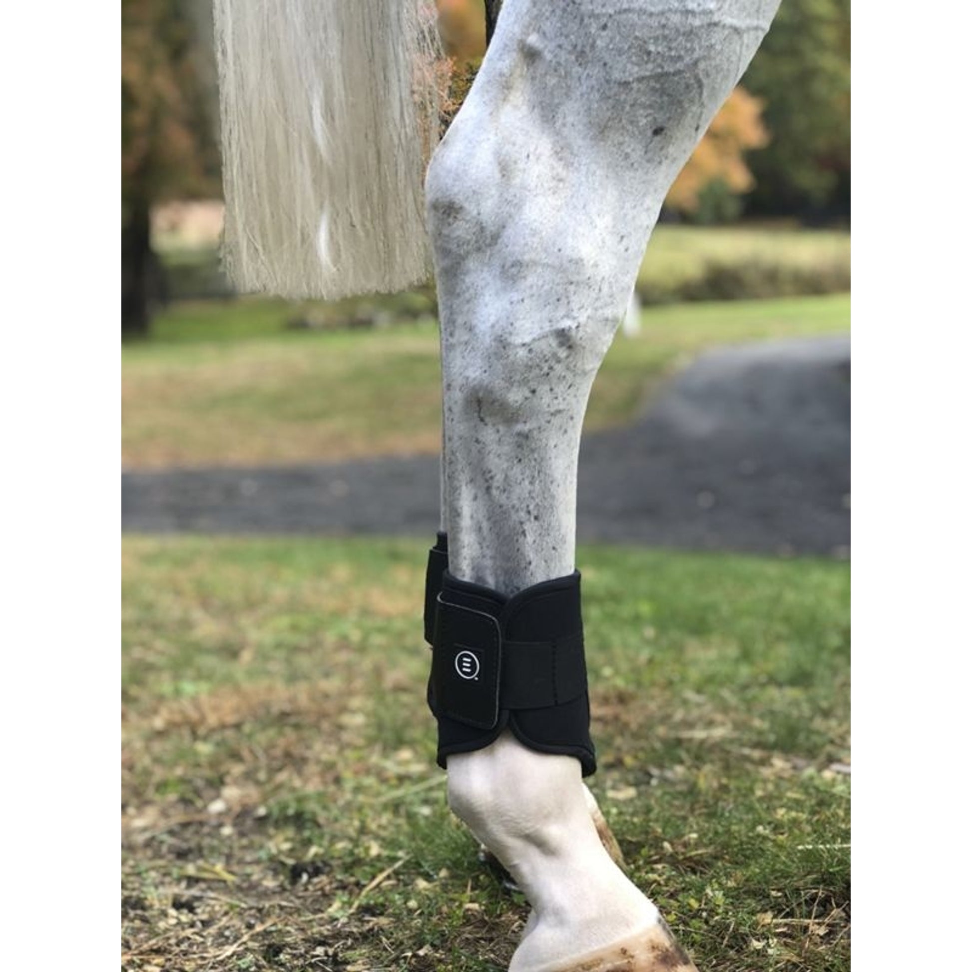 Equifit Essential Everyday Front Boots