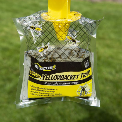 Rescue Yellowjacket Disposable Trap