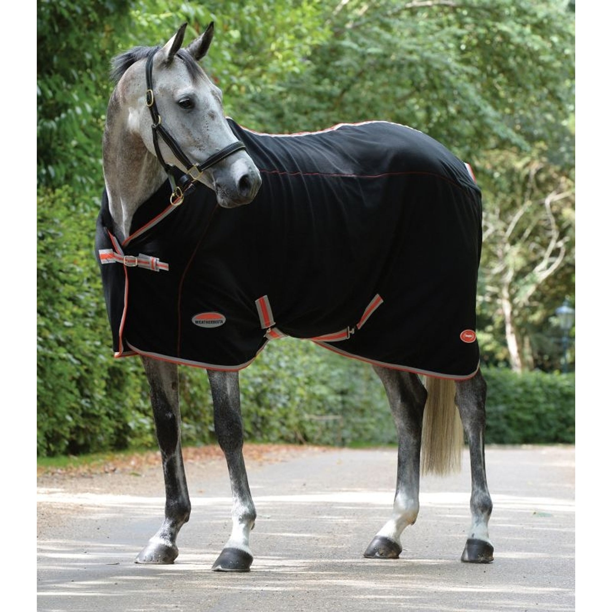 WeatherBeeta Therapy Tec Standard Neck Blanket