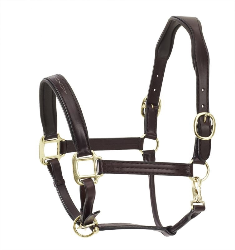 Ovation Fancy Padded Halter Dk Brown