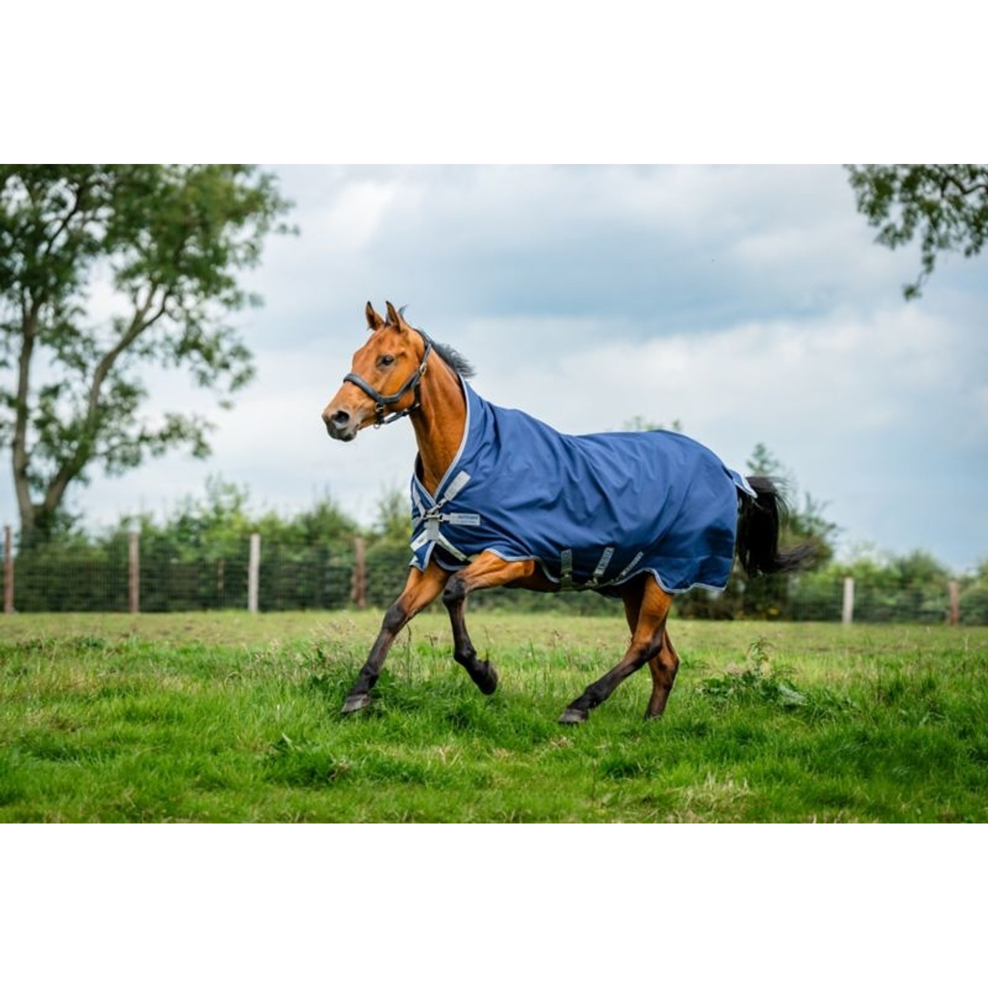 Amigo Bravo 12 Wug Lite Turnout