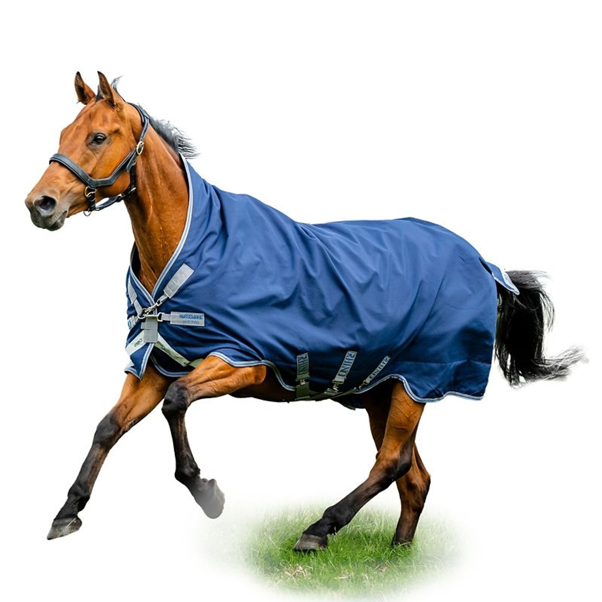Amigo Bravo 12 Wug Medium Blanket
