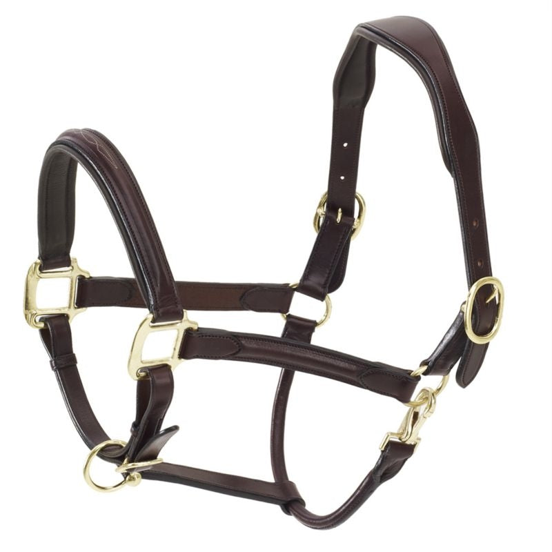 Ovation Fancy Raised Padded Halter Dk Brown