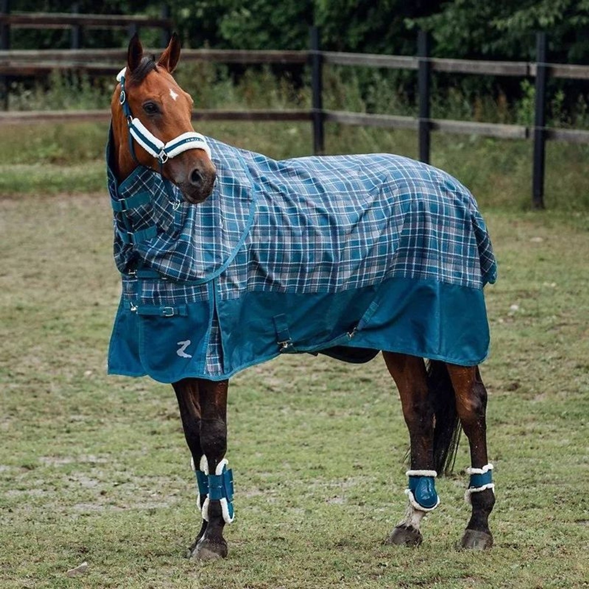 Horze Nevada MW Turnout Blanket 200g