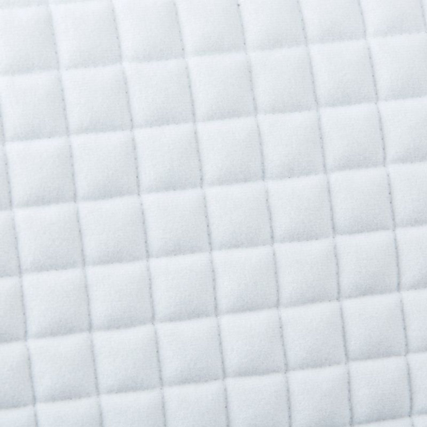 TE029766_814159_02.jpg