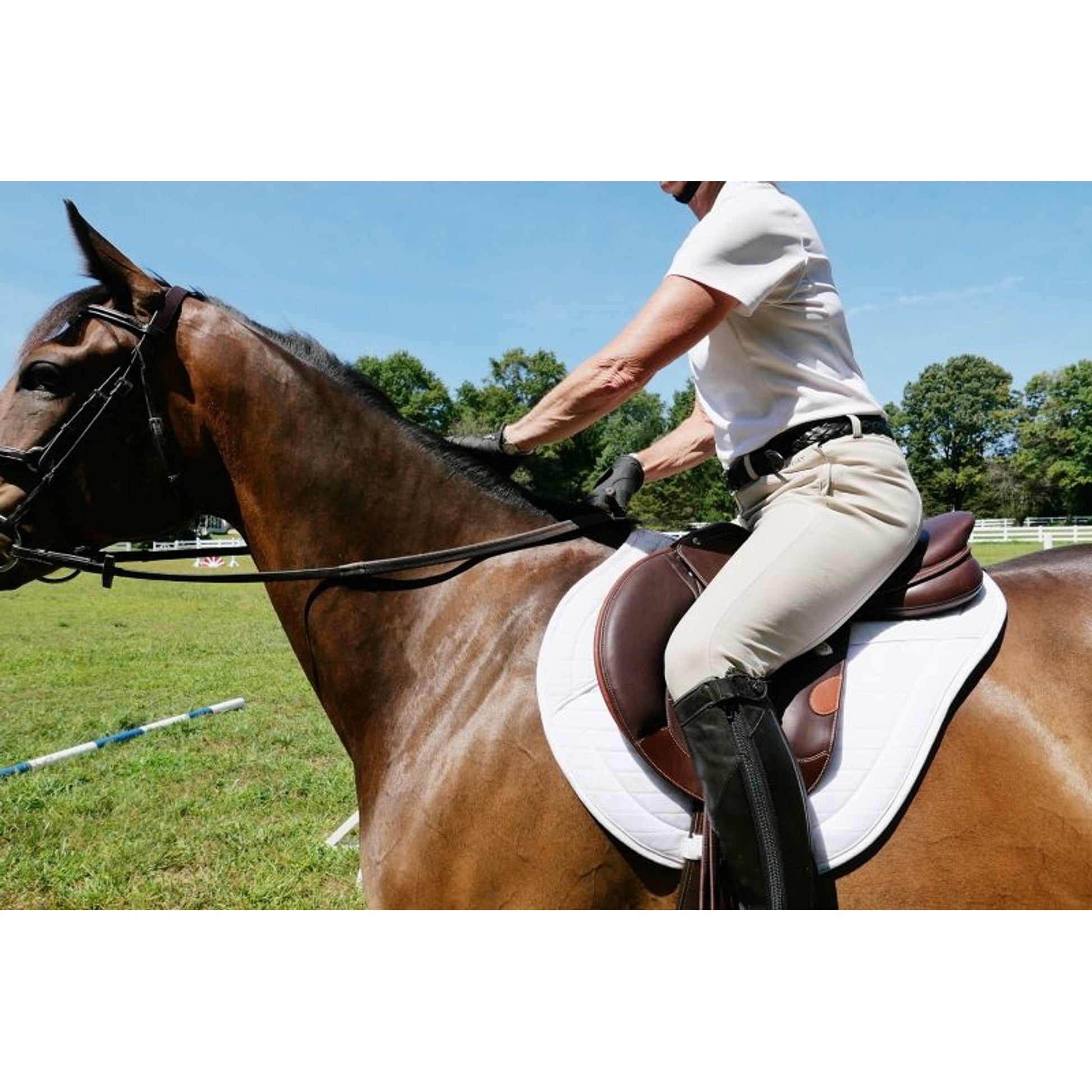 DEMO - Bates Victrix Saddle