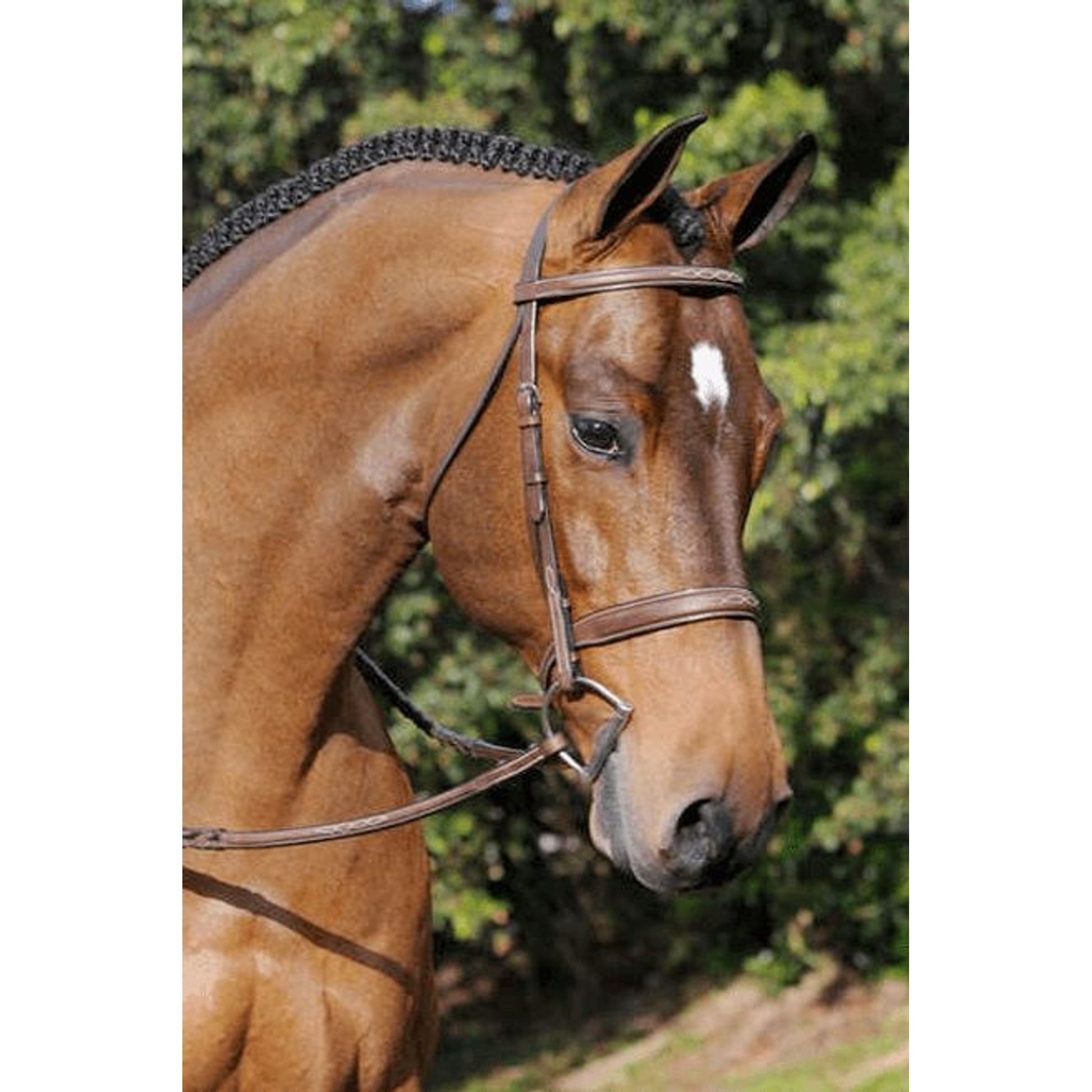 Arc de Triomphe Tribute Bridle with Reins