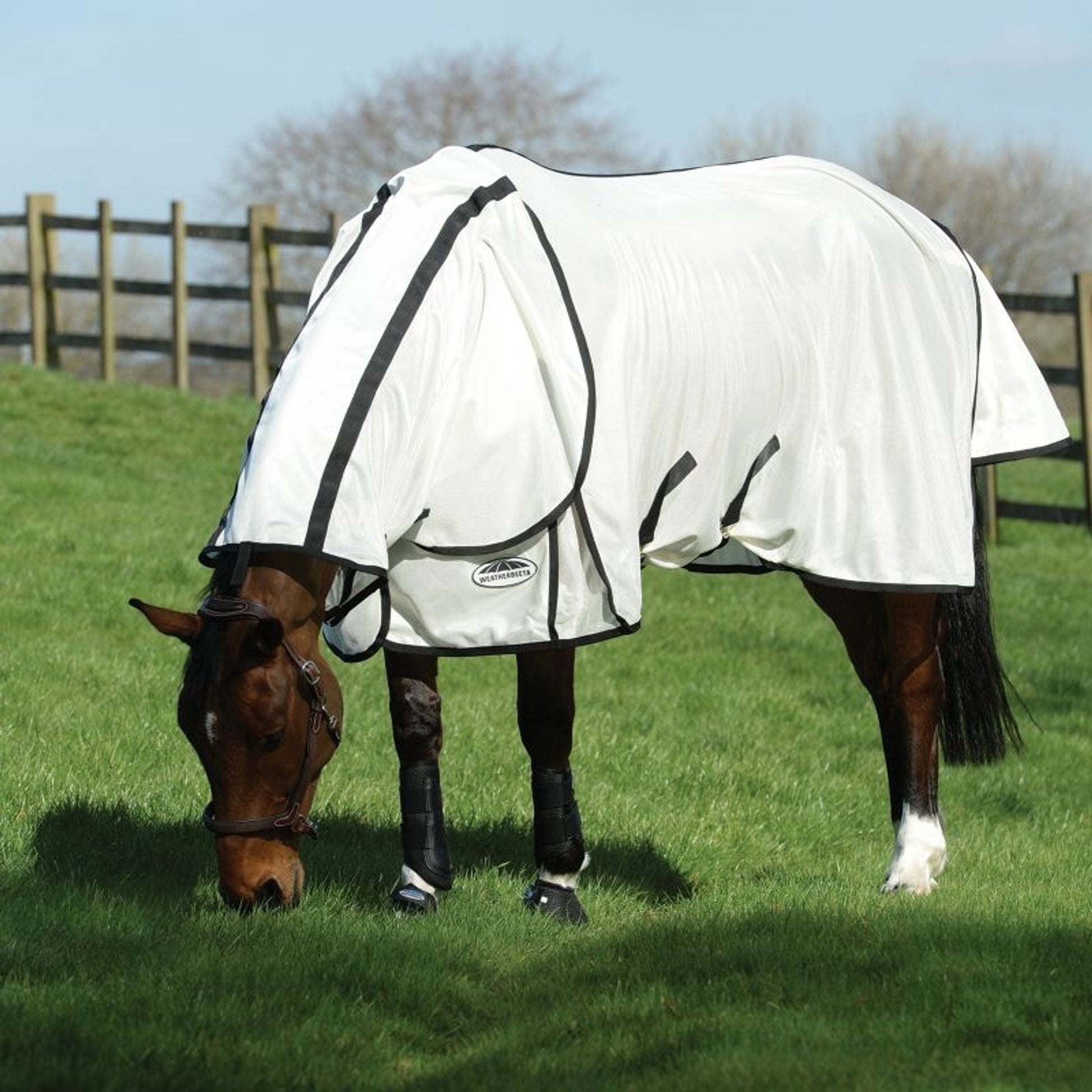 WeatherBeeta ComFiTec Airflow II DAN Fly Sheet