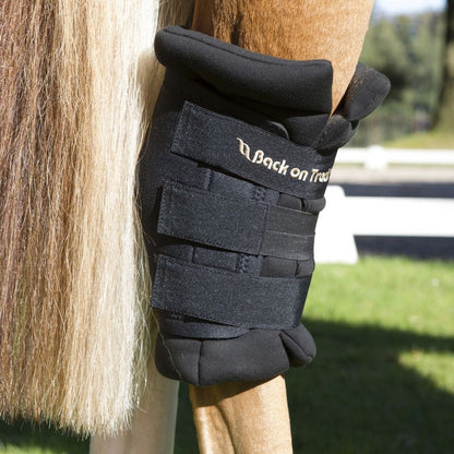 Back on Track Padded Royal Hock Boots w.Holes