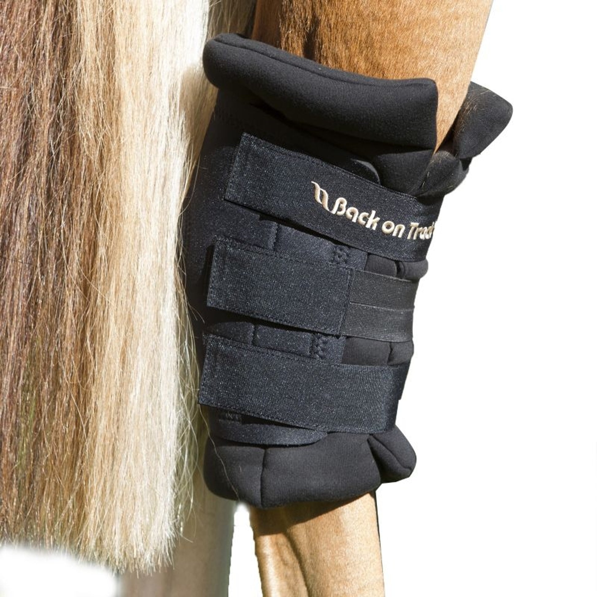 Back on Track Padded Royal Hock Boots w.Holes