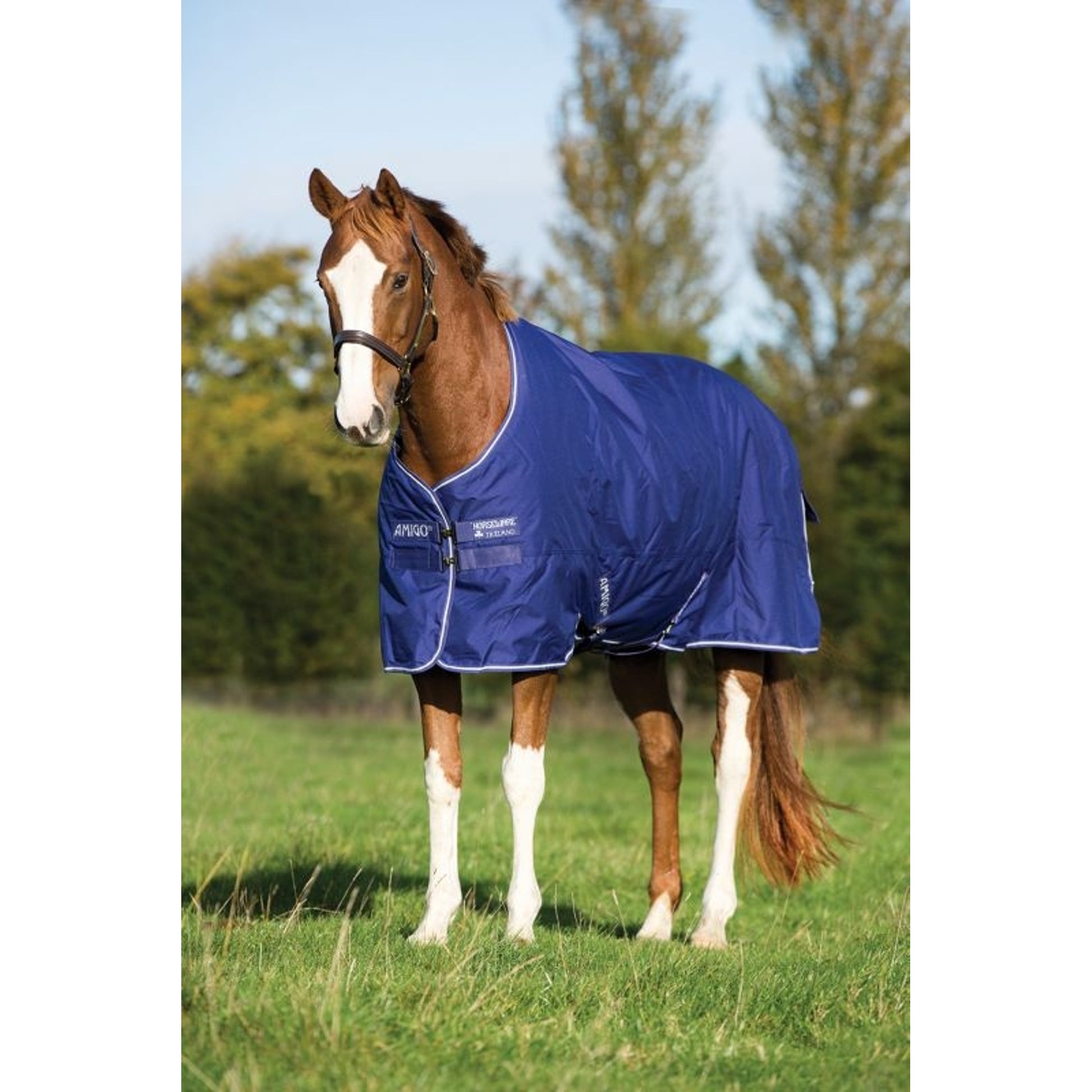 Amigo Hero 900 Turnout Blanket