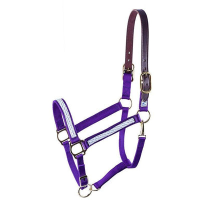 Perris Ribbon Safety Halter