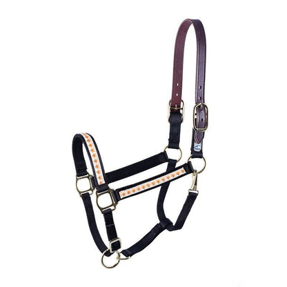 Perris Ribbon Safety Halter