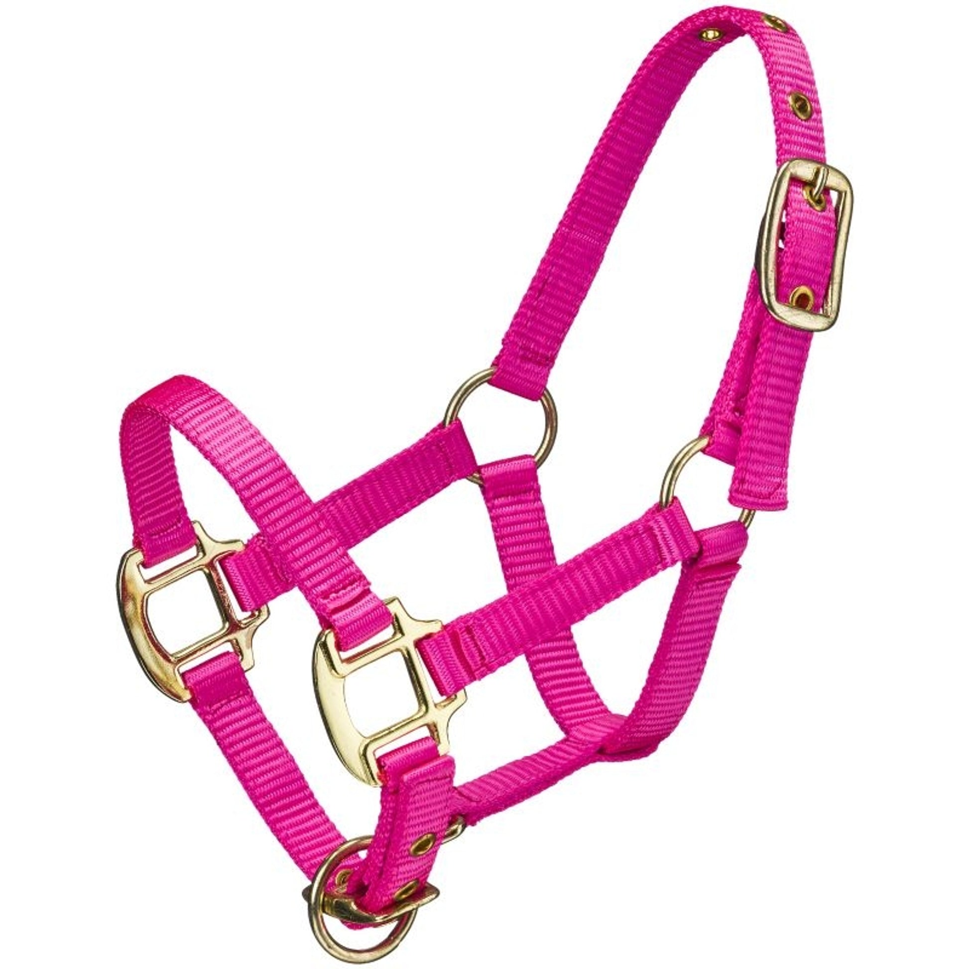 Ozark Mini Neon Nylon Halter