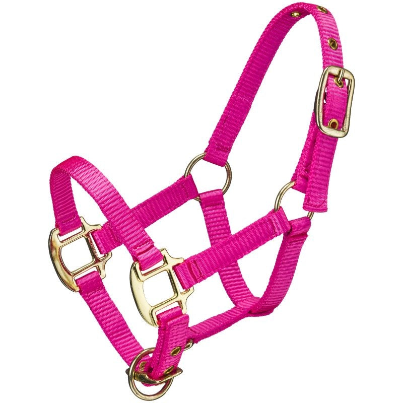 Ozark Mini Neon Nylon Halter