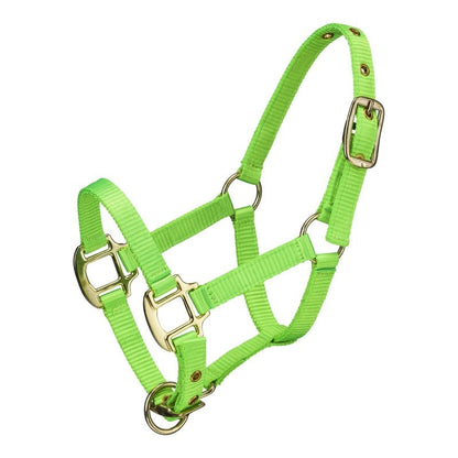 Ozark Mini Neon Nylon Halter