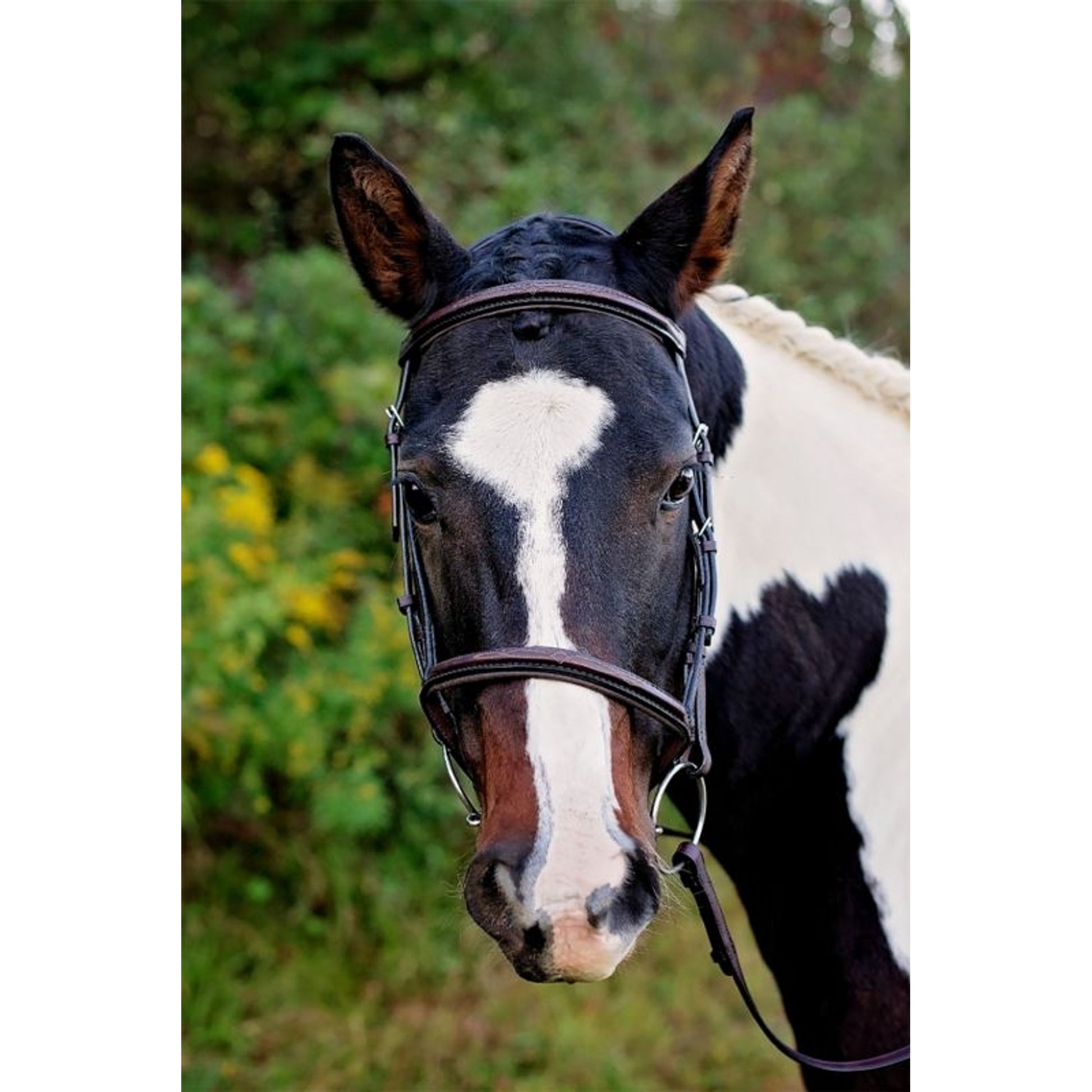 Tory Raised Padded Fancy Headstall